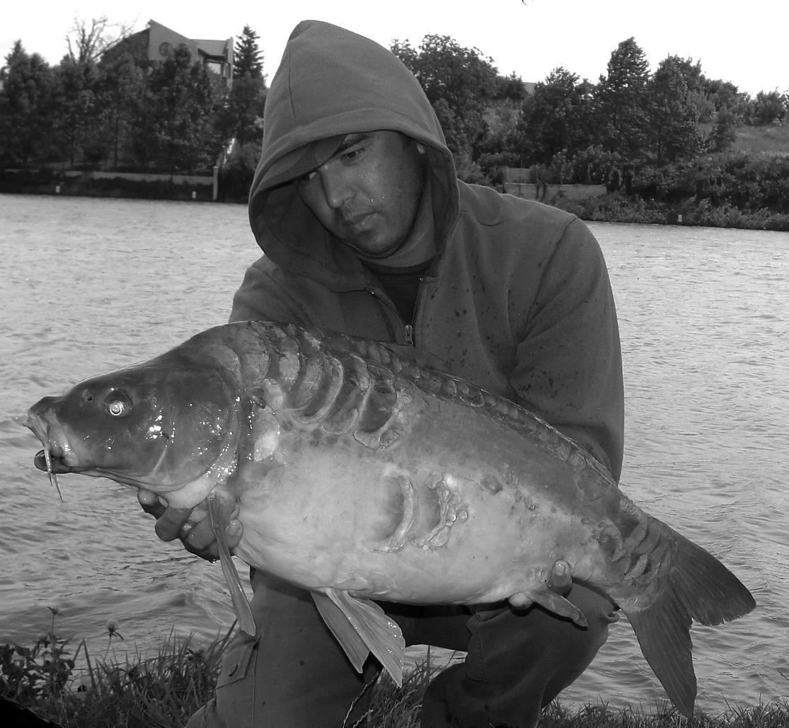 Moara Vlasiei 2 16 iul. - dsc04023.JPG